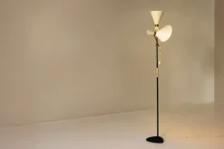 Sale Pamono Pelikan Floor Lamp in Brass and Lacquered Steel by J.T. Kalmar, Austria, 1950s