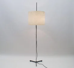 Pamono Space Age Adjustable Floor Lamp, 1960s