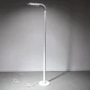 New Pamono Targetti Flexible Floor Lamp, 1980