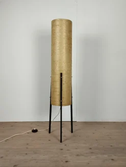 Online Pamono Tripod Floor Lamp in Fiberglass and Metal from Dame & Co., 1960s