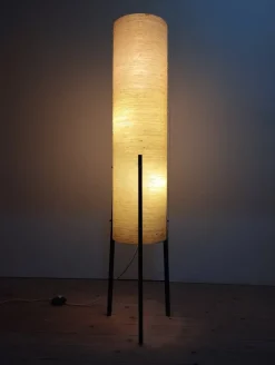 Online Pamono Tripod Floor Lamp in Fiberglass and Metal from Dame & Co., 1960s