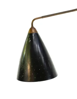 New Pamono Vintage Flamingo Floor Lamp by Franz Hagenauer for Werkstätte Hagenauer Wien, 1950s