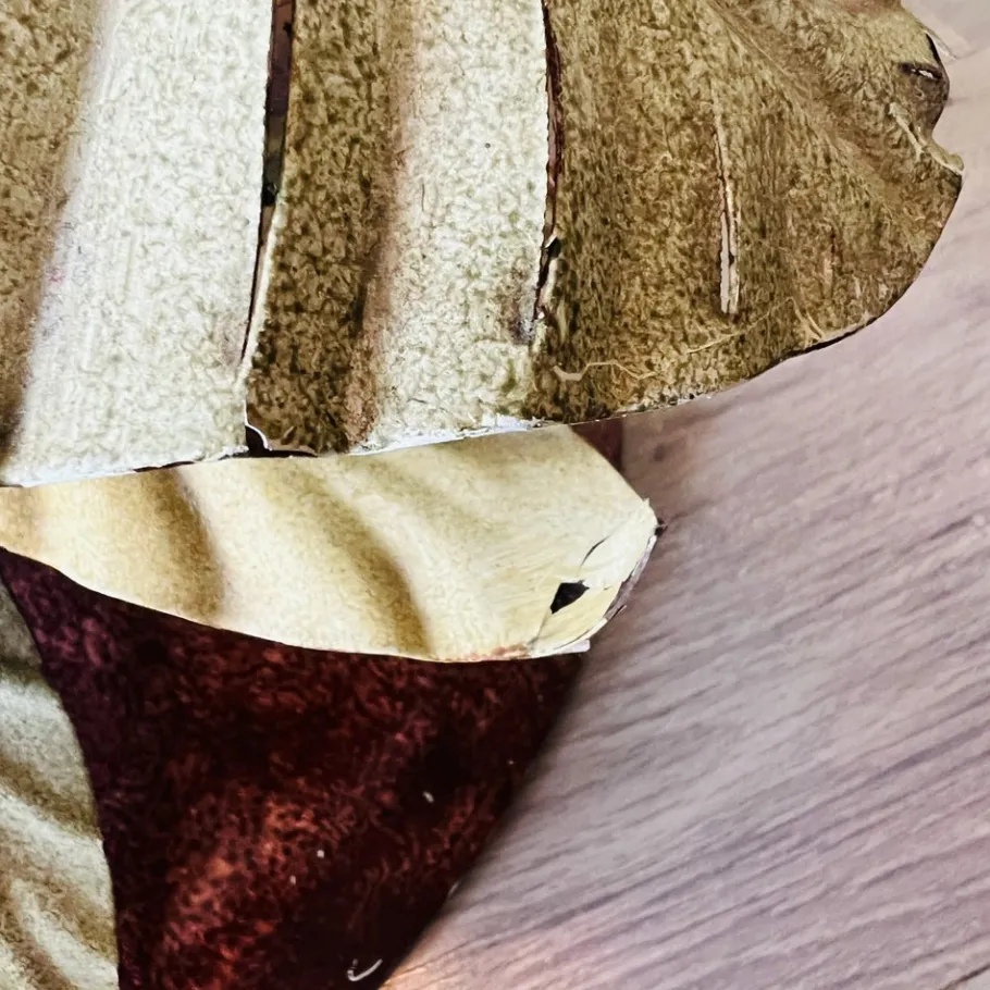 Pamono Vintage Renzo Del Ventisette Floor Lamp